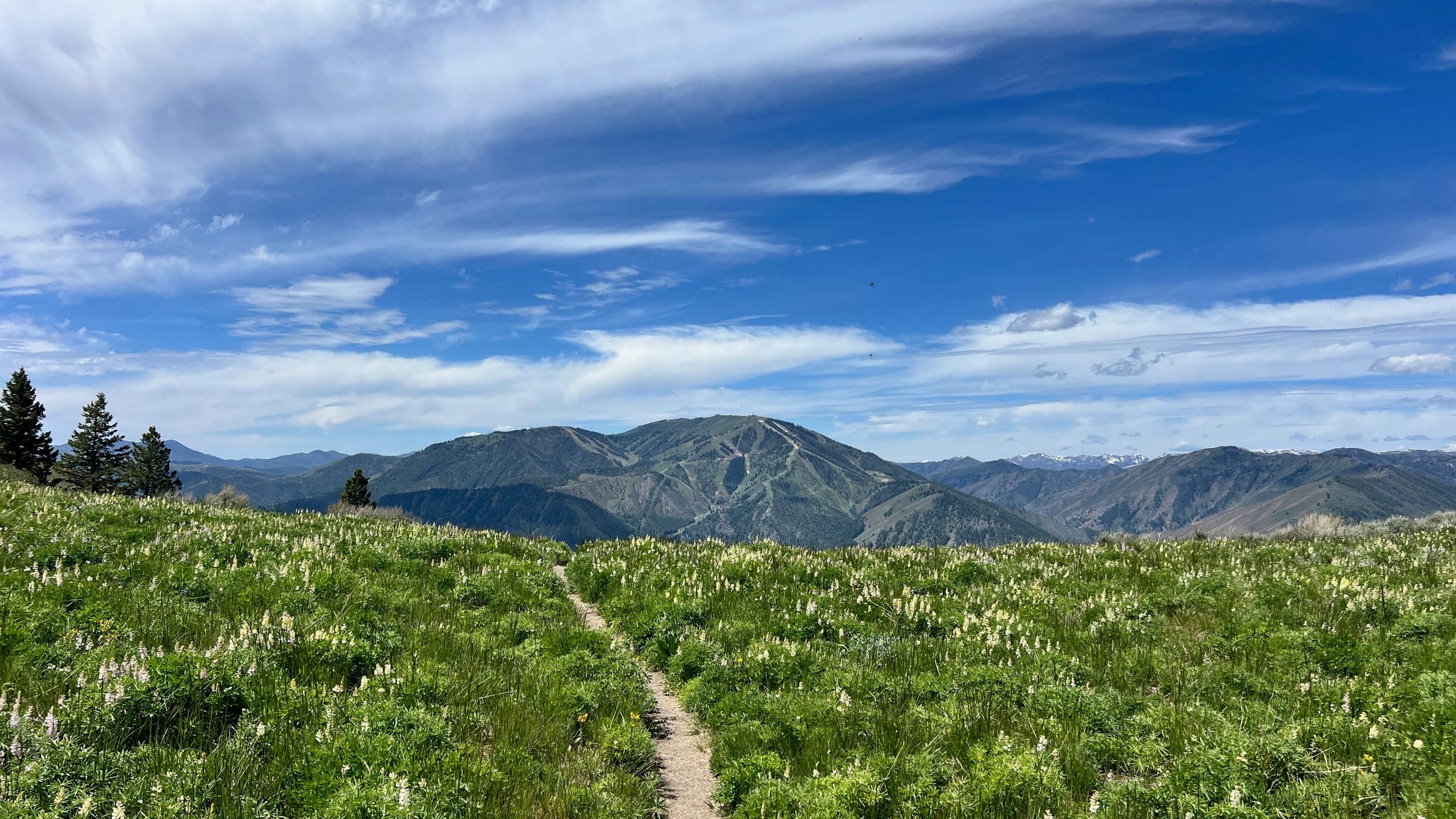 View of Bald Mountain in the background of a green grass rolling hill.