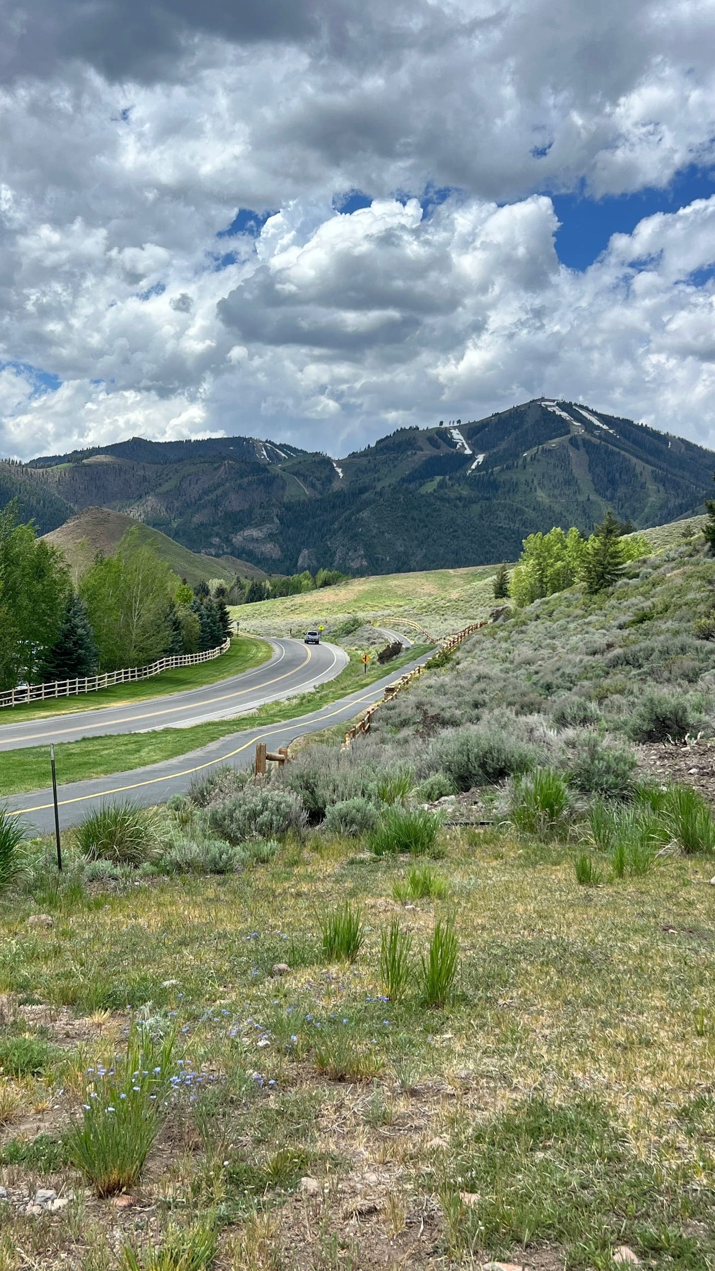 Bald Mountain in the background of a rolling hill and walking path.
