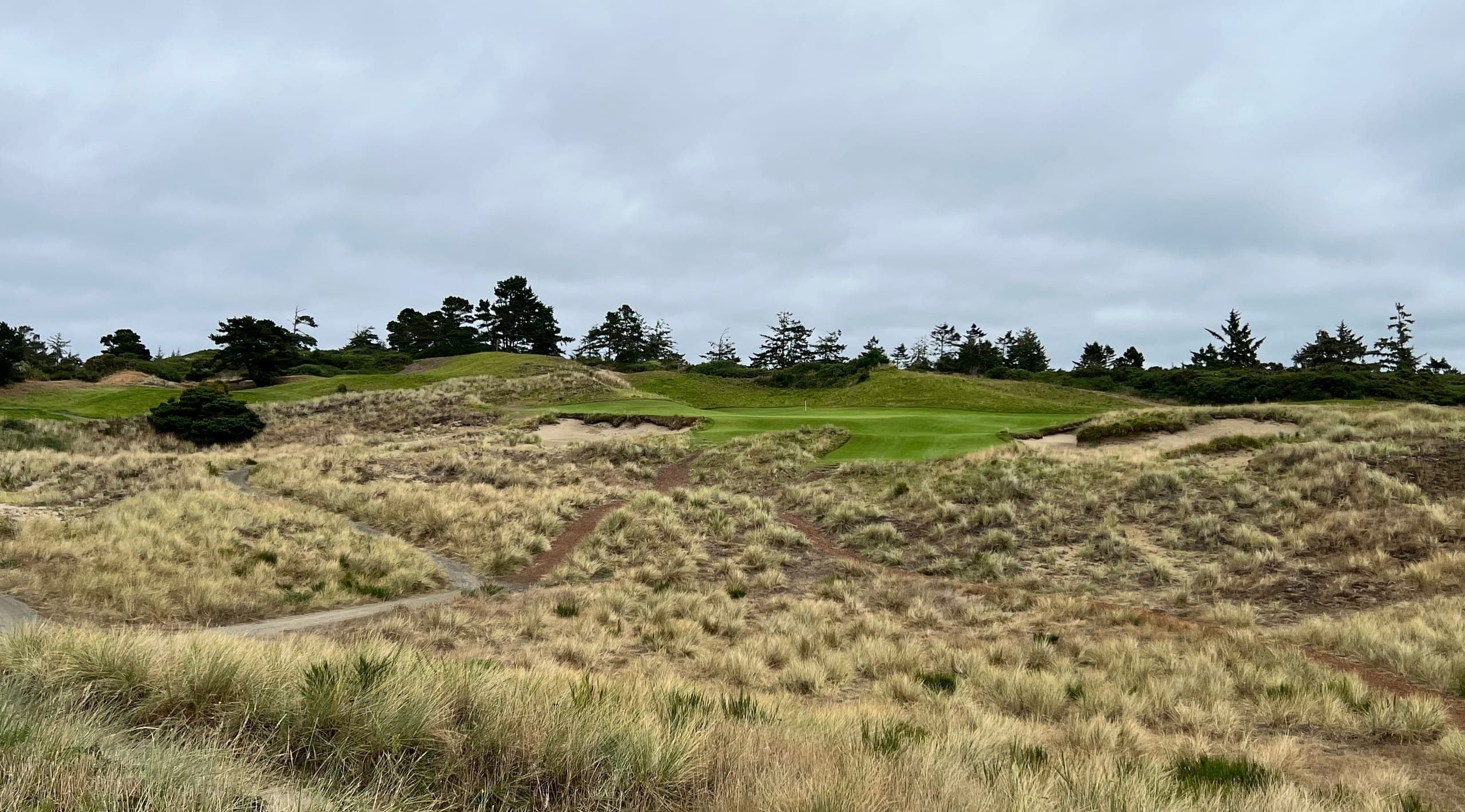 Hole number two at Bandon Dunes with low lying scrub in the foreground.