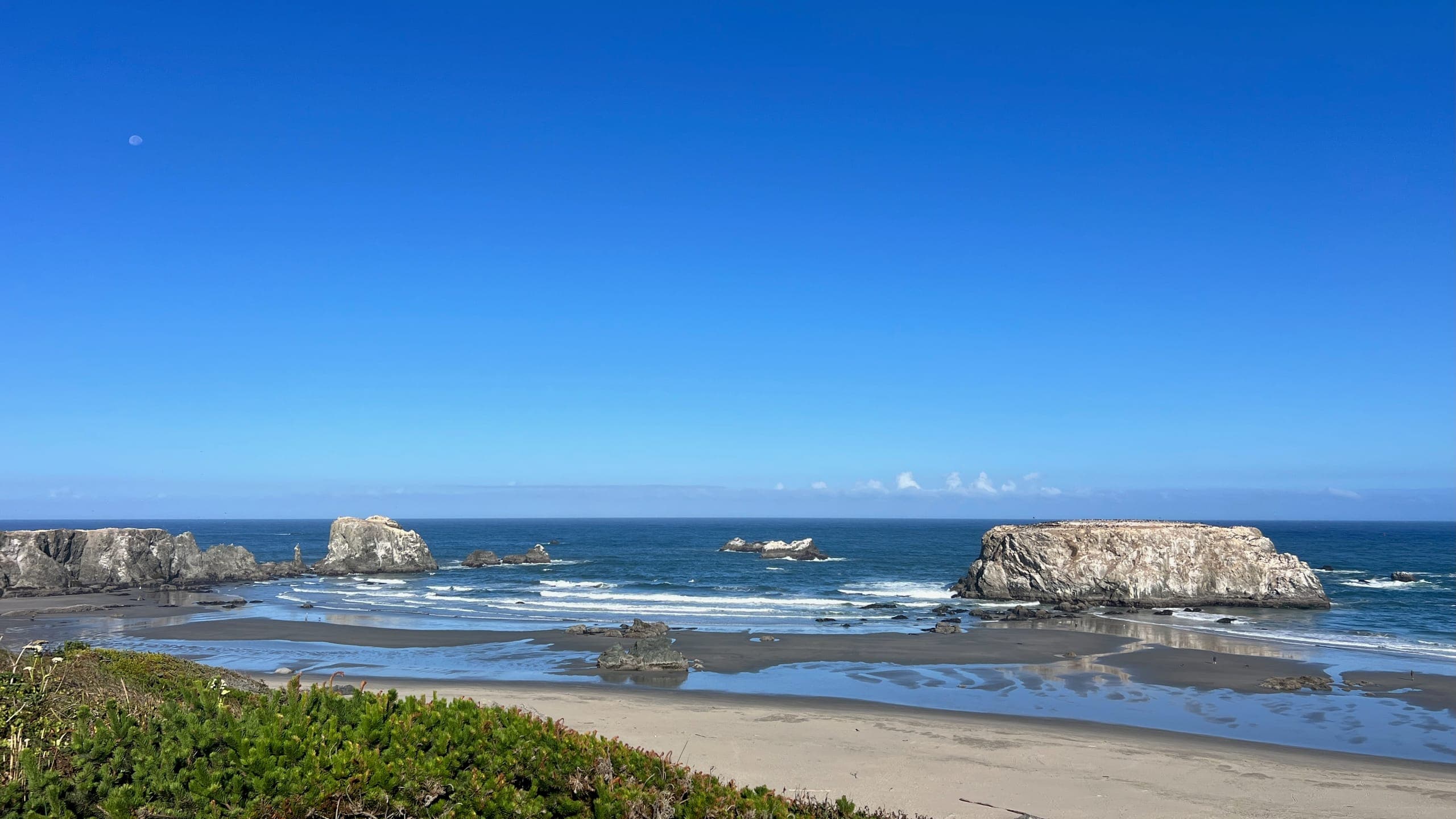Overlooking the ocean from a grassy vantage point.
