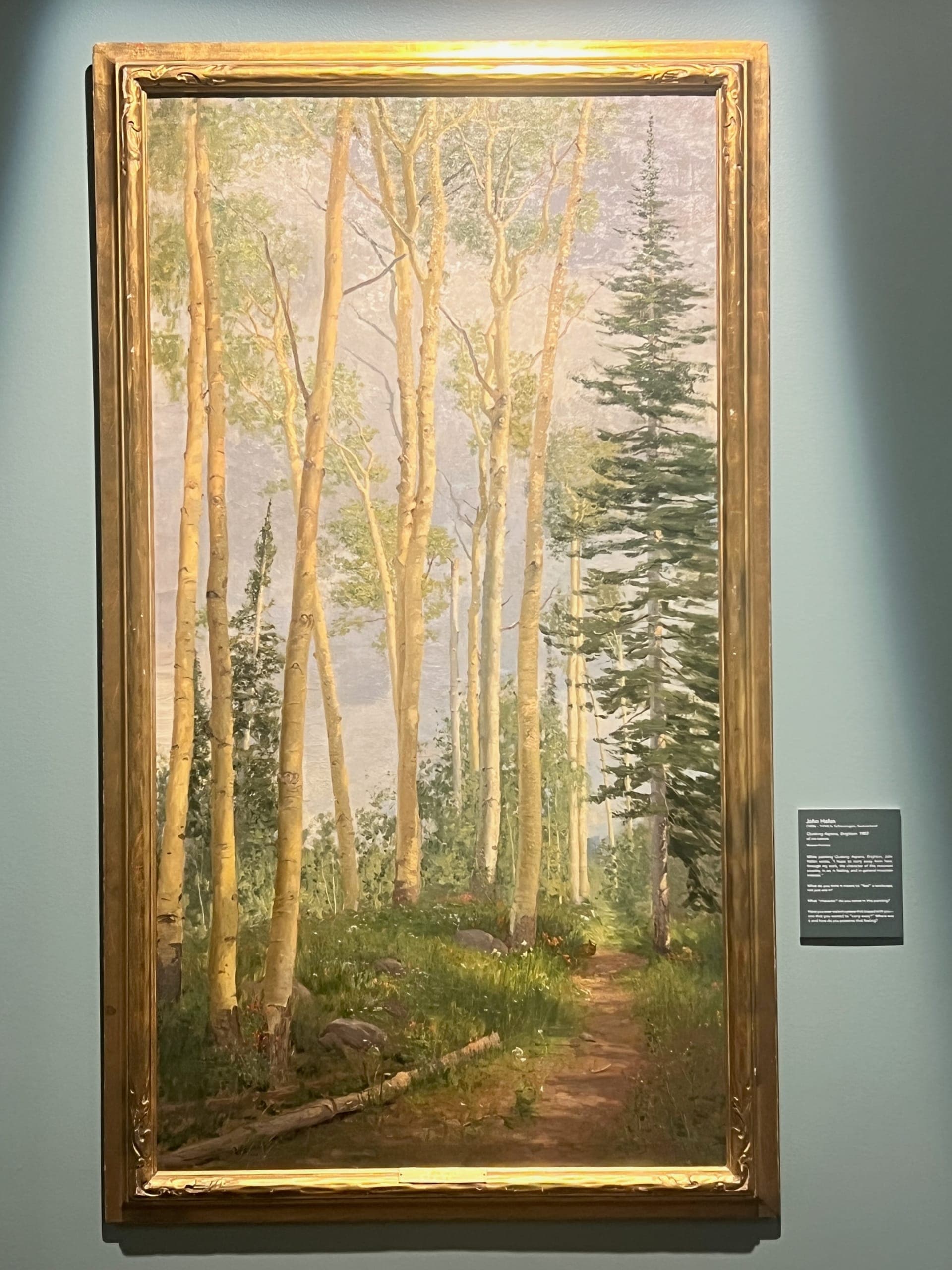 "Quaking Aspens, Brighton" painting by John Hafen