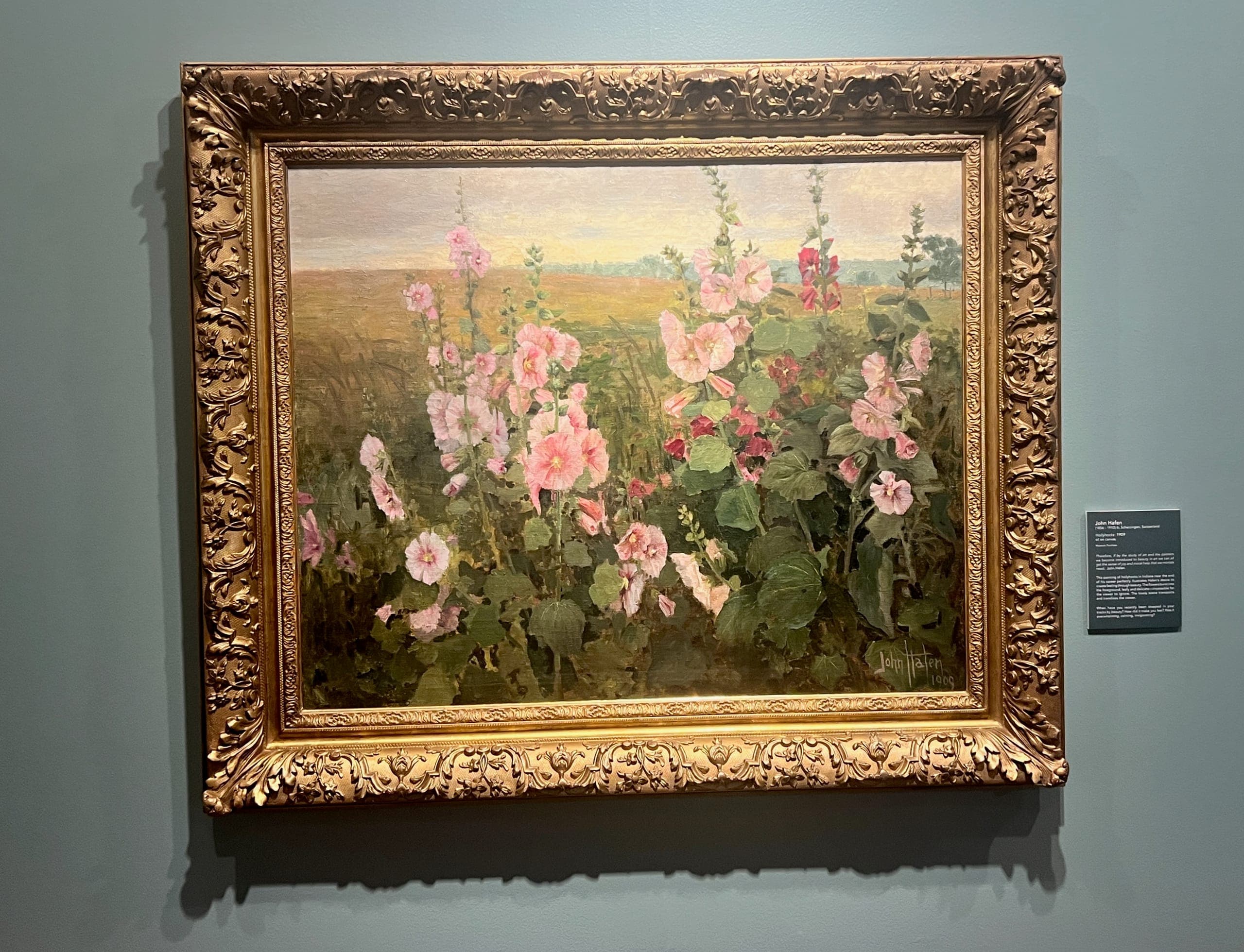 "Hollyhocks" painting by John Hafen