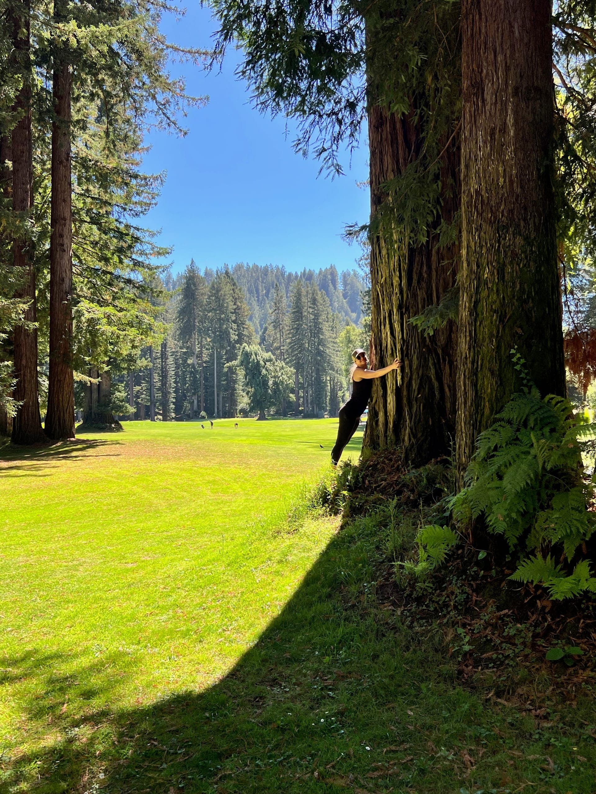 Sarah hugging a redwood between the first and second hole.
