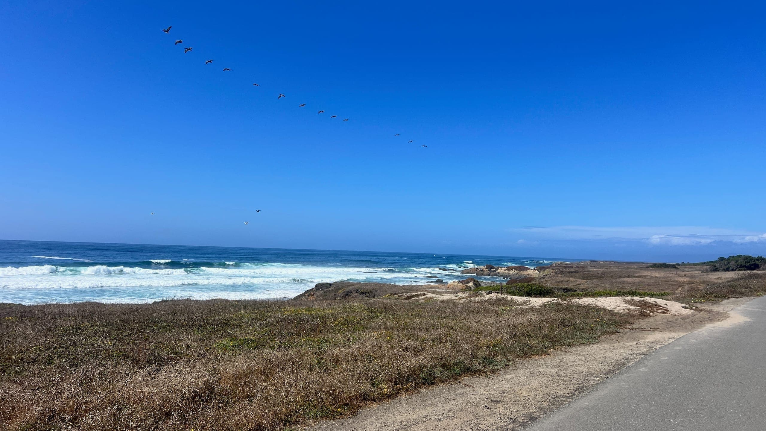 Pedestrian path running along a beach covered in scrub brush with waves breaking on the shore.