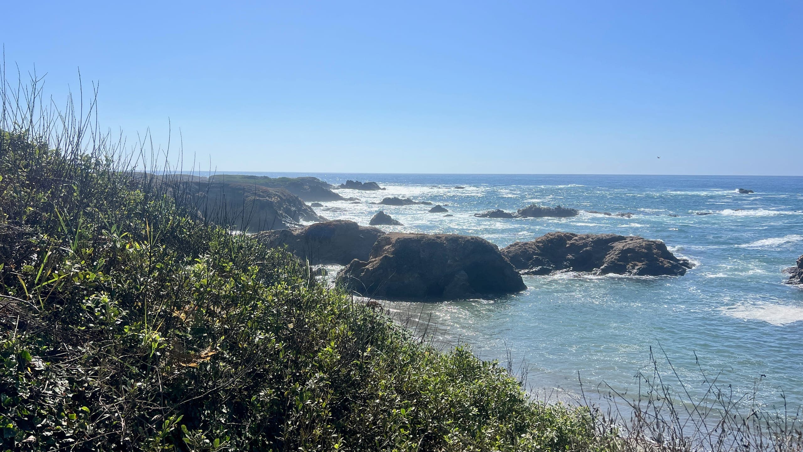 Ocean view from the Noyo Headlands walking path.