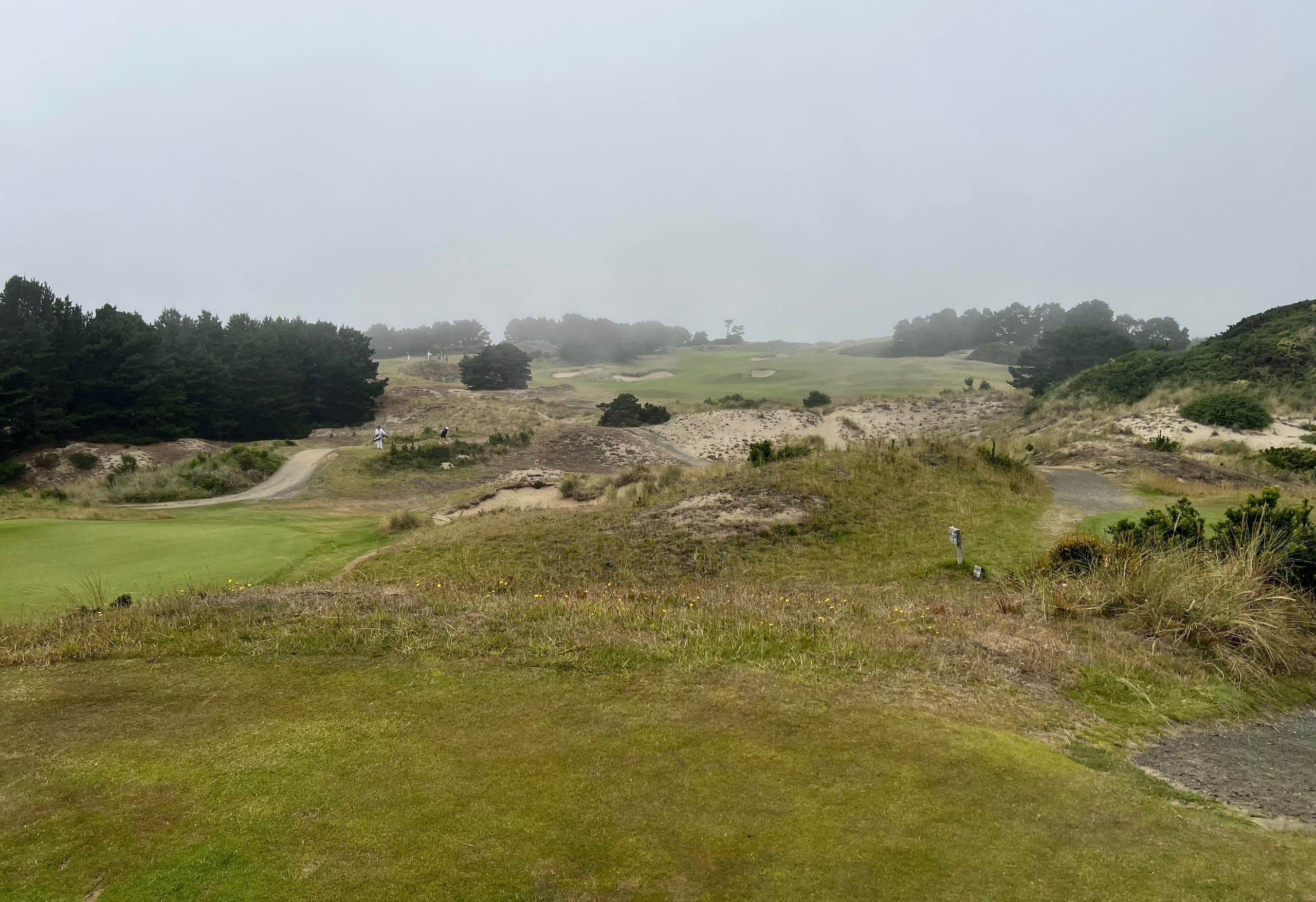 Rolling hills and sand traps surrounded by scrub brush on the Pacific Dunes golf course.