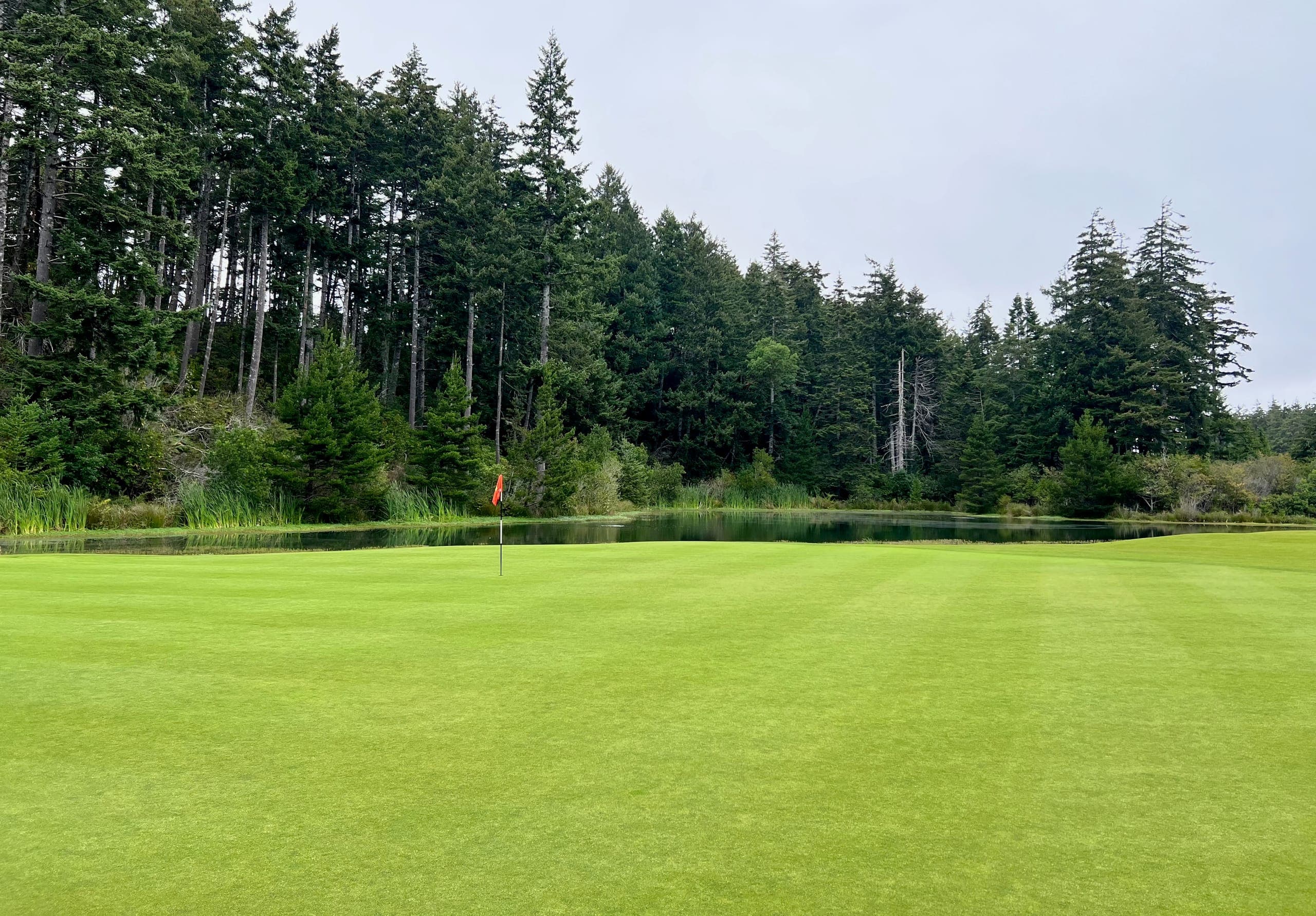 Open greens and tee flag of Pacific Trails golf course with a pond lined with pine trees in the background.