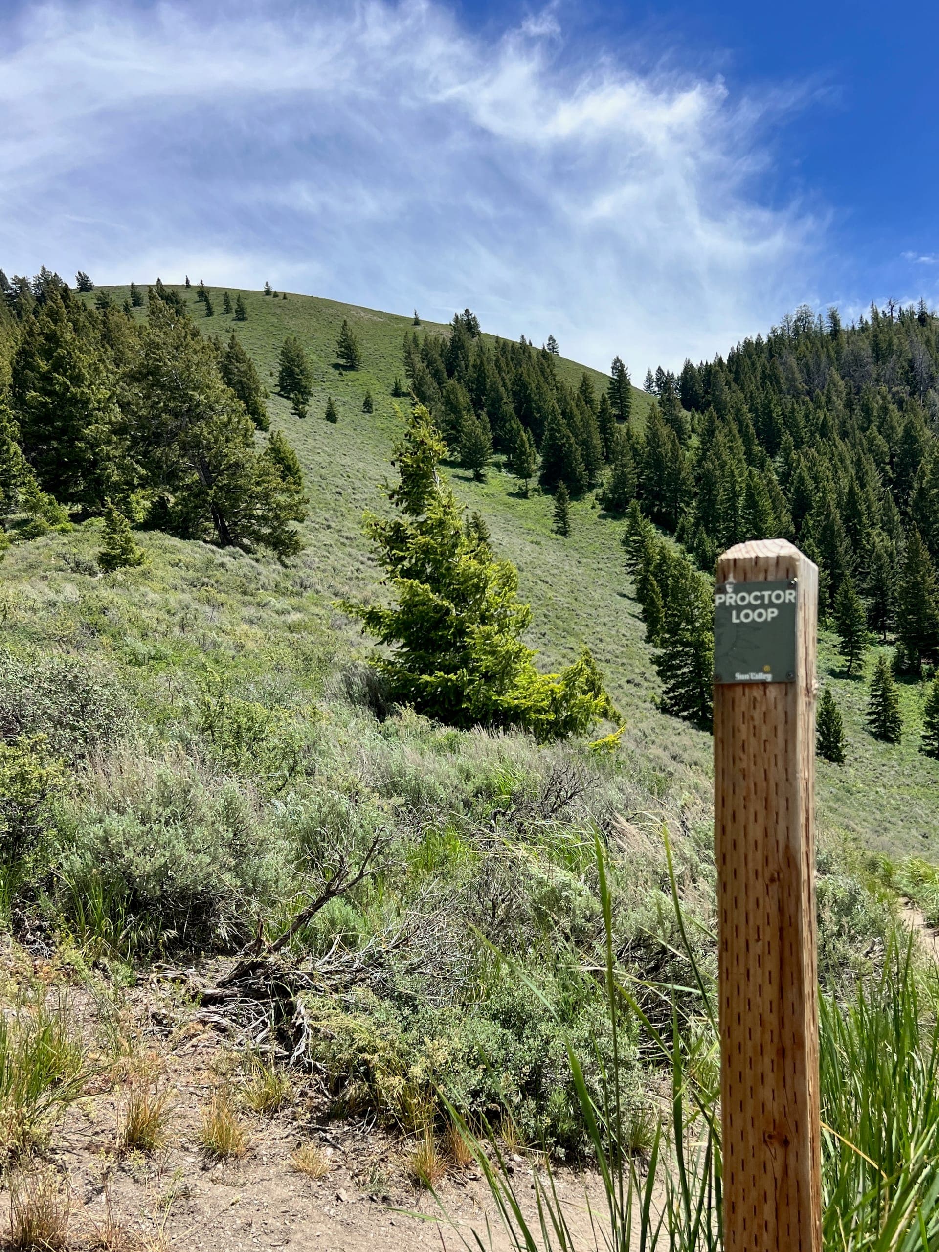Post marker labeled "Proctor Loop" on the north side of the loop.