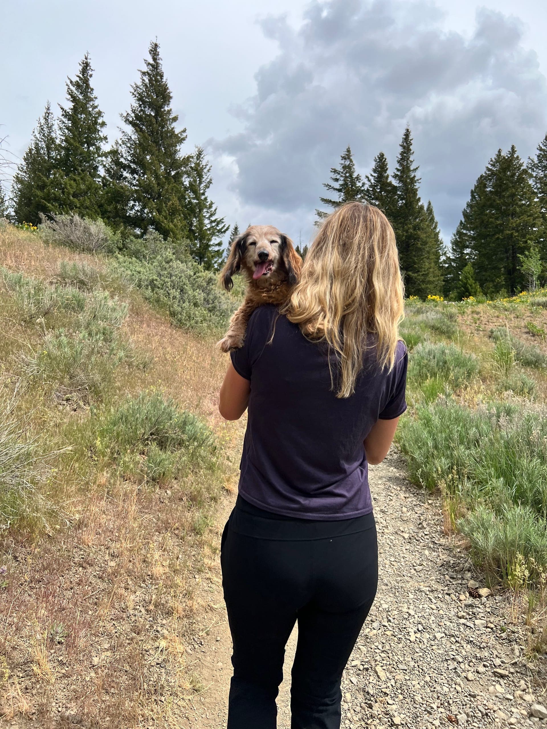 Baby Dog peeking over Sarah's shoulder as she gets carried up the trail.