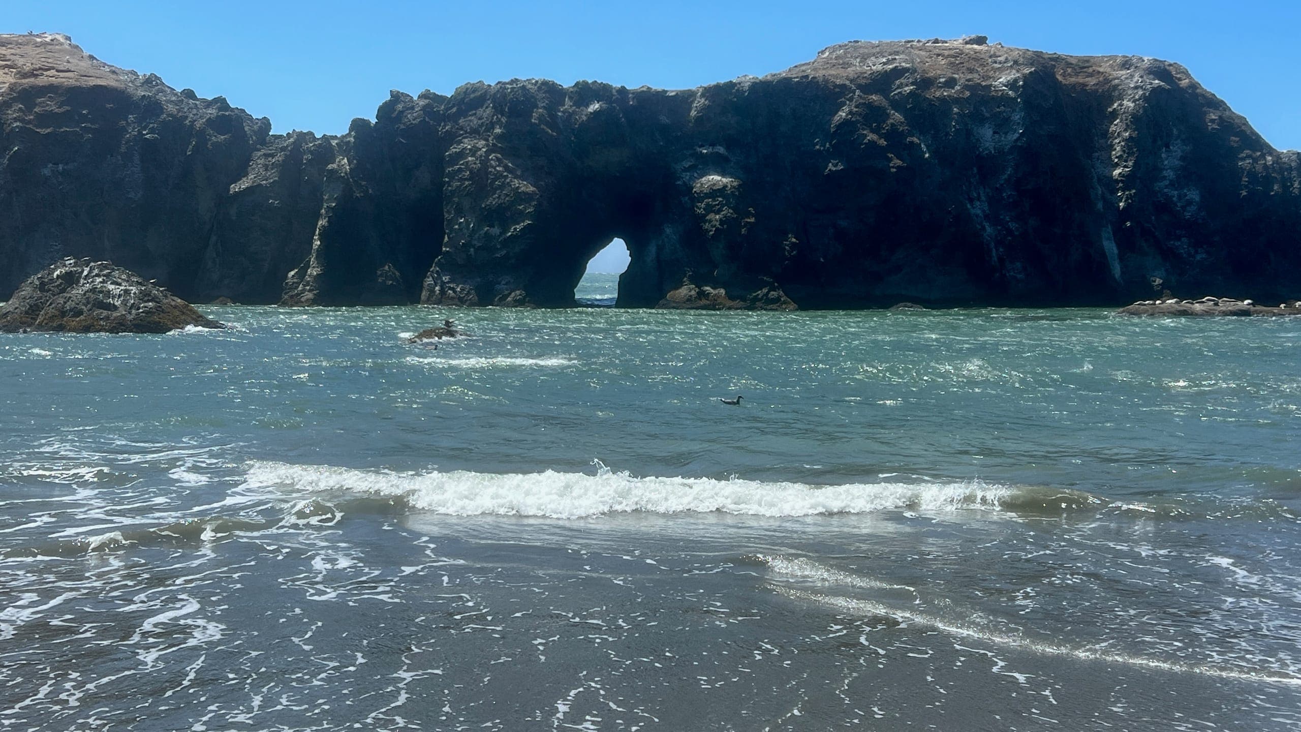 A rocky sea outcropping with a natural arch in the rocks with incoming waves visible through the hole.