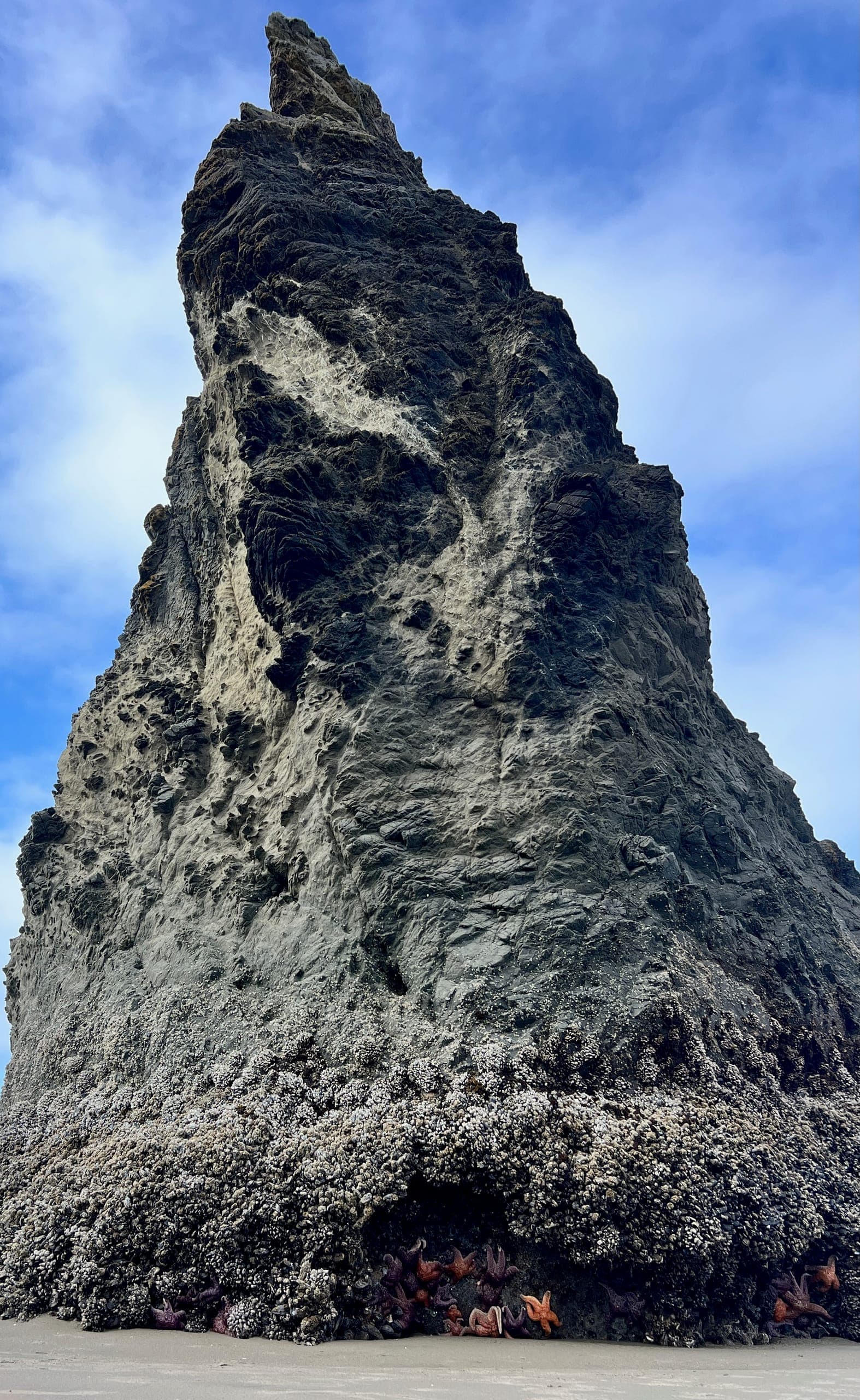 Point sea stack with a carve out in the bottom where orange and purple starfish cling to the rock.