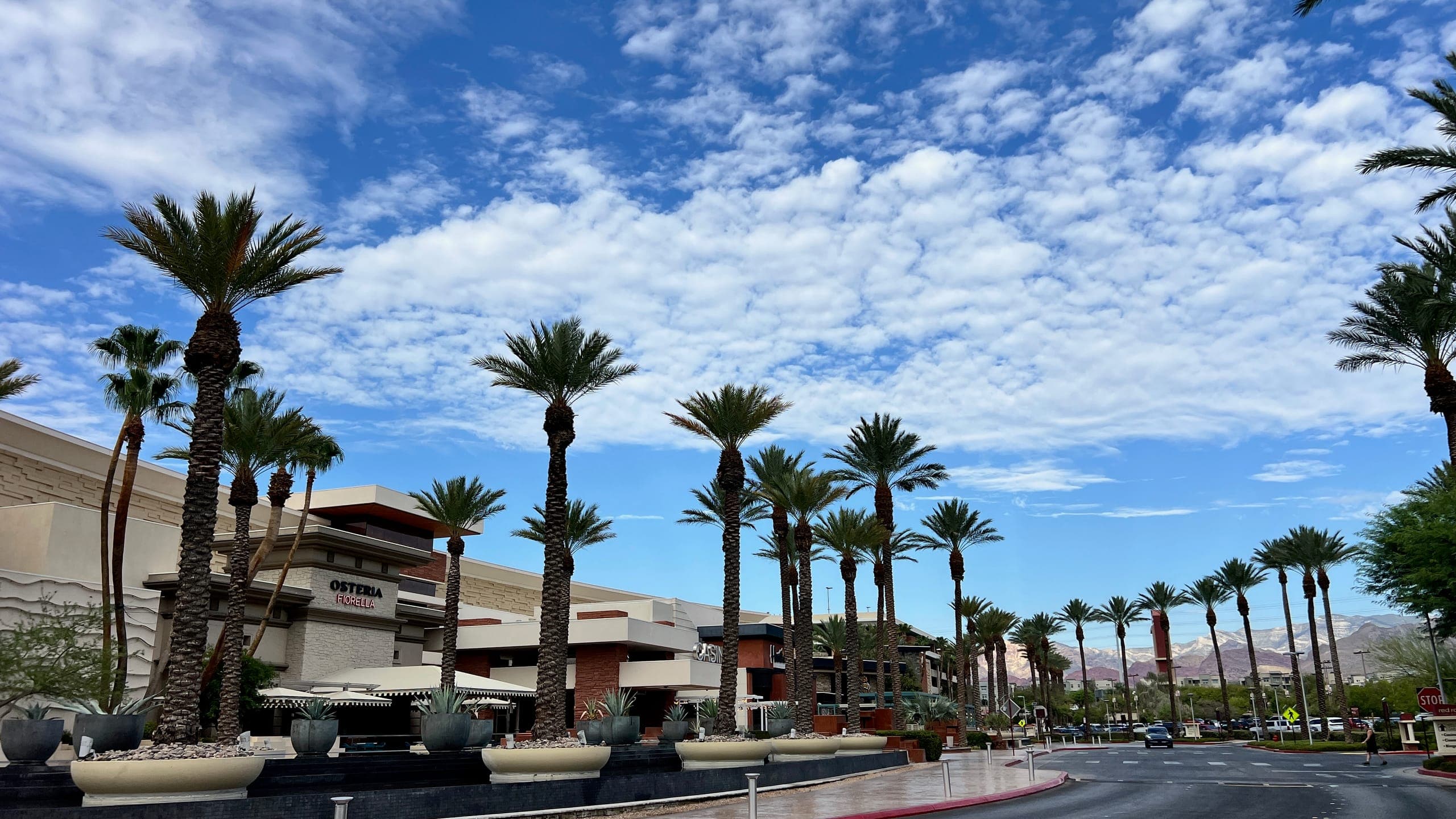 The exterior of a Las Vegas casino with palm trees lining the street.